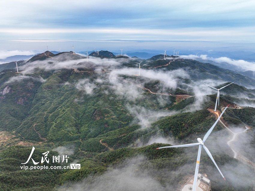 路由器怎么桥接手机WIFI知识问答-专业答疑解惑